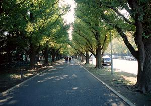 板金の料金を解り易く説明をするモドーリー