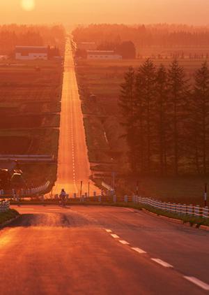 ヘッドライトフィルムの選び方と施工ガイド｜愛車の美しさを長持ちさせる秘訣