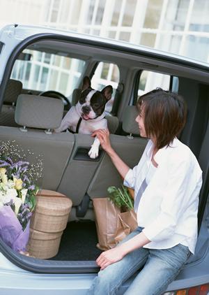 自動車の買取を行っている会社です