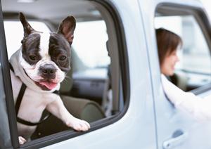 お得な割引などを実施している車検業者