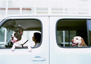 【車買取・車査定の専門店】ティーバイティーガレージ – 全国無料出張査定と即金高価買取りの信頼ショップ
